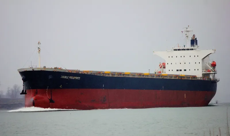 SHAIL AL WAJBAH Bulk Carrier IMO 9316658 photo 4