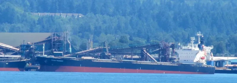 SHAIL AL WAJBAH Bulk Carrier IMO 9316658 photo 5