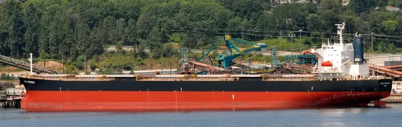 SHAIL AL WAJBAH Bulk Carrier IMO 9316658 photo 6