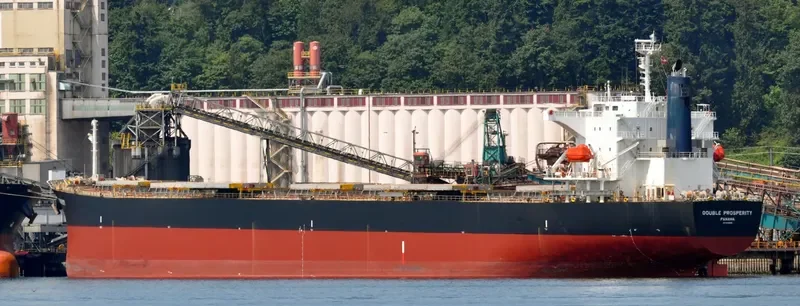 SHAIL AL WAJBAH Bulk Carrier IMO 9316658 photo 7
