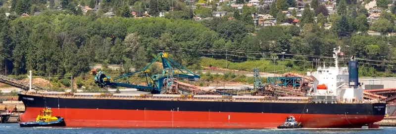 SHAIL AL WAJBAH Bulk Carrier IMO 9316658 photo 8