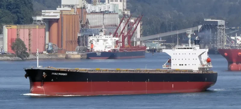 SHAIL AL WAJBAH Bulk Carrier IMO 9316658 photo 9