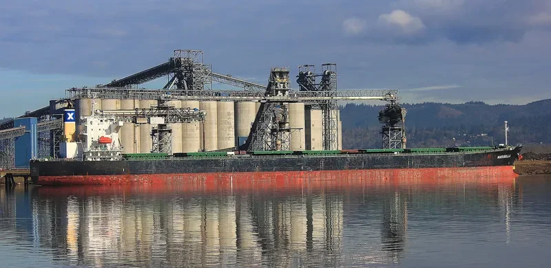 MARIBELLA Bulk Carrier IMO 9316672 photo 2