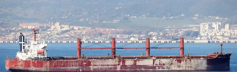 SWEET LADY III Bulk Carrier IMO 9316804