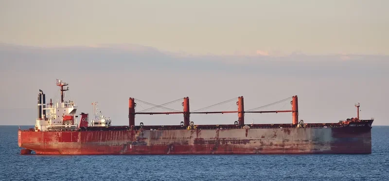 SWEET LADY III Bulk Carrier IMO 9316804 photo 2