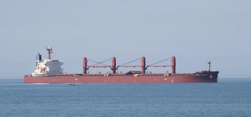 SWEET LADY III Bulk Carrier IMO 9316804 photo 3