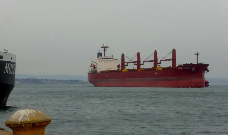SWEET LADY III Bulk Carrier IMO 9316804 photo 4