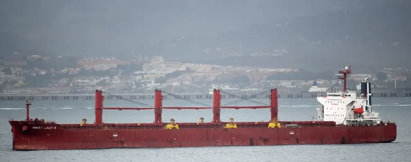 SWEET LADY III Bulk Carrier IMO 9316804 photo 6