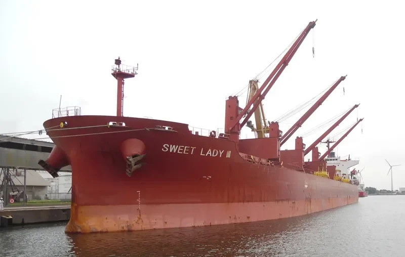 SWEET LADY III Bulk Carrier IMO 9316804 photo 7