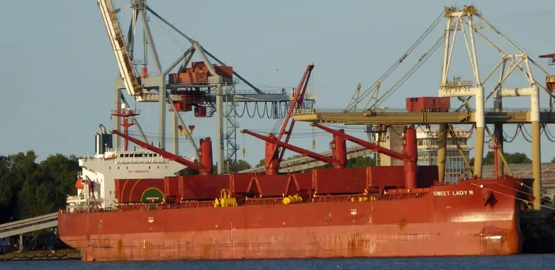 SWEET LADY III Bulk Carrier IMO 9316804 photo 8