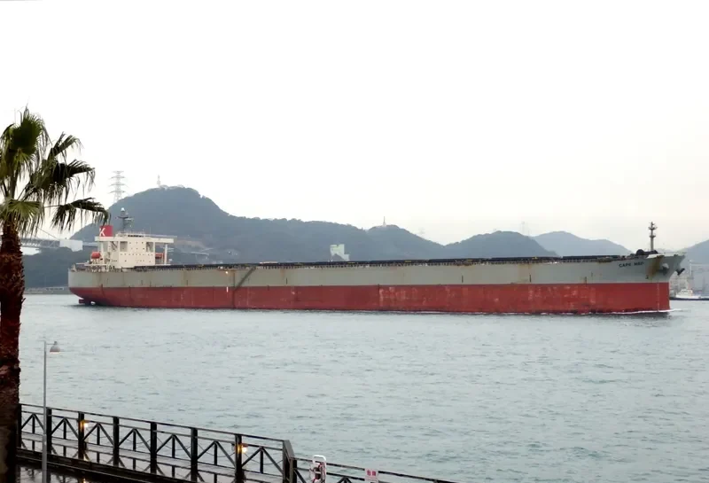 CAPE MED Bulk Carrier IMO 9316828