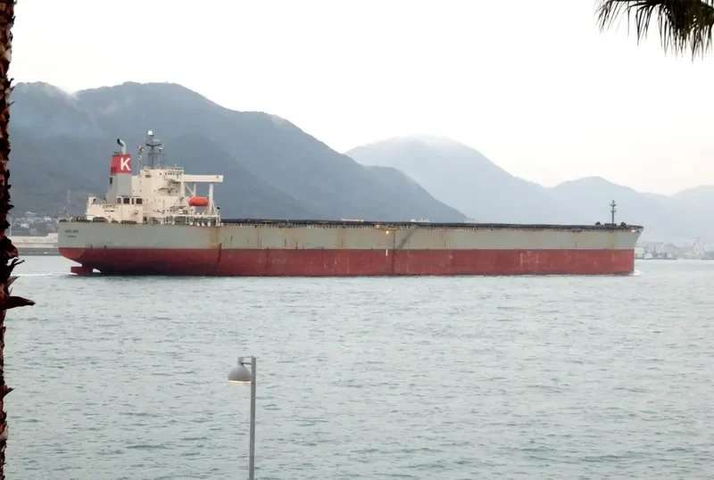 CAPE MED Bulk Carrier IMO 9316828 photo 2