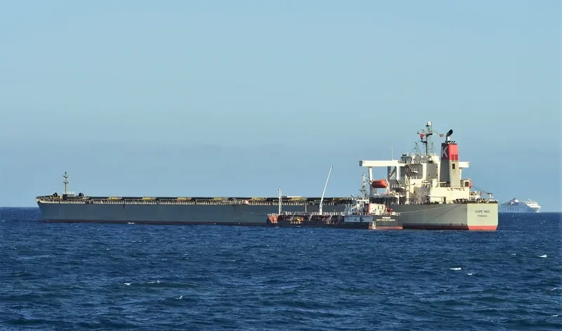 CAPE MED Bulk Carrier IMO 9316828 photo 3