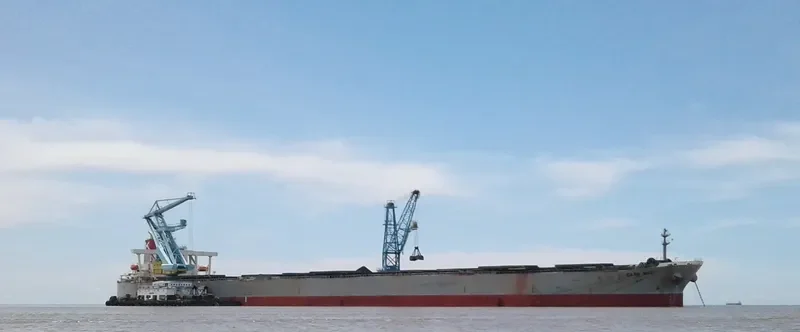 CAPE MED Bulk Carrier IMO 9316828 photo 8