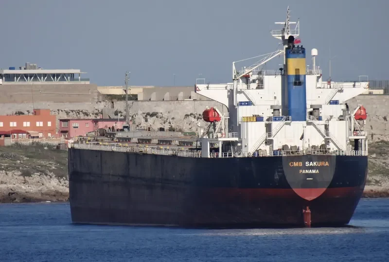 HENG AN YANG Bulk Carrier IMO 9316854 photo 2