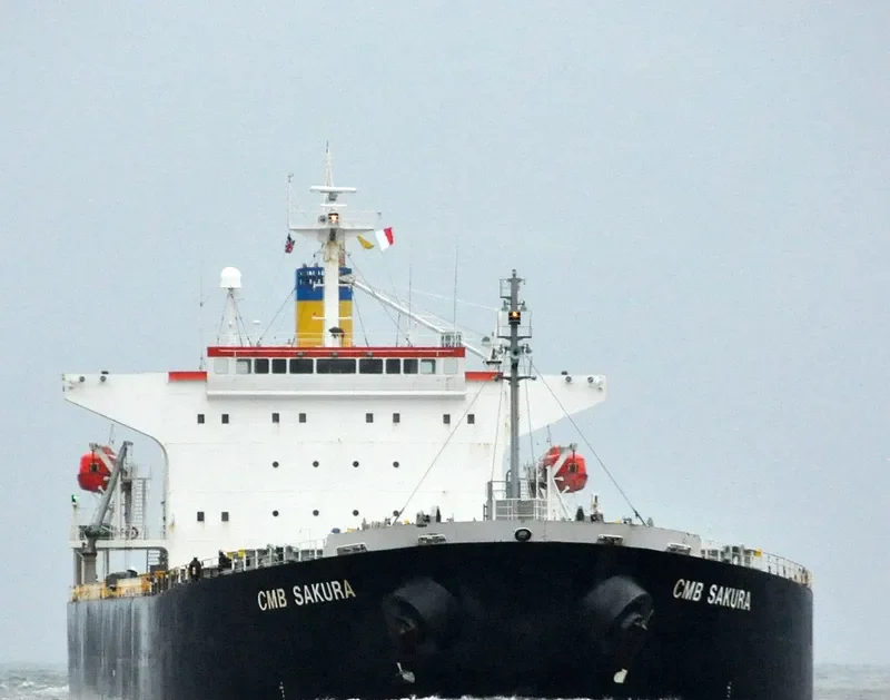 HENG AN YANG Bulk Carrier IMO 9316854 photo 10