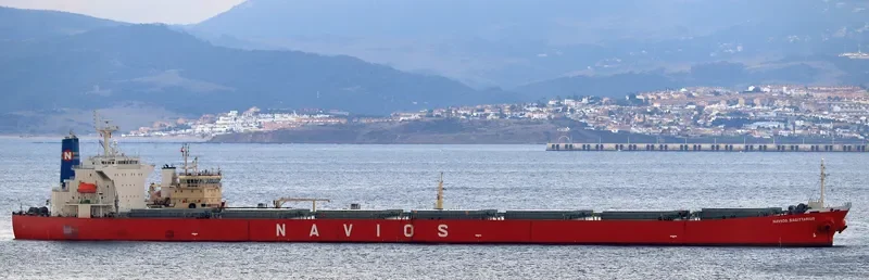 NAVIOS SAGITTARIUS Bulk Carrier IMO 9316866