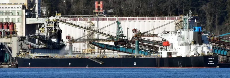 DANAE R Bulk Carrier IMO 9316878 photo 3