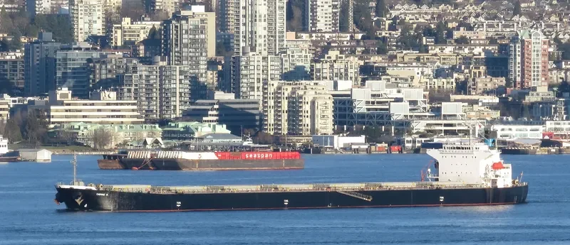 DANAE R Bulk Carrier IMO 9316878 photo 5