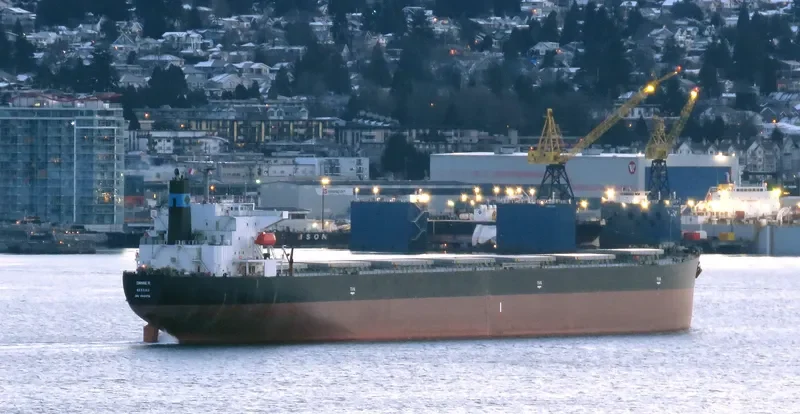 DANAE R Bulk Carrier IMO 9316878 photo 9