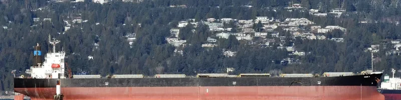 DANAE R Bulk Carrier IMO 9316878 photo 10
