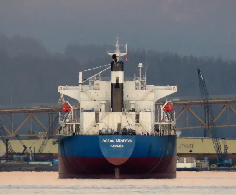 KAVO PALOMA Bulk Carrier IMO 9316880 photo 3