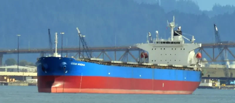 KAVO PALOMA Bulk Carrier IMO 9316880 photo 7