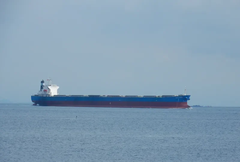 KAVO PALOMA Bulk Carrier IMO 9316880 photo 9