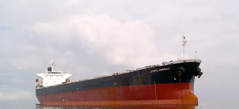 CORAL EMERALD Bulk Carrier IMO 9316892 photo 2