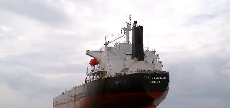 CORAL EMERALD Bulk Carrier IMO 9316892 photo 5