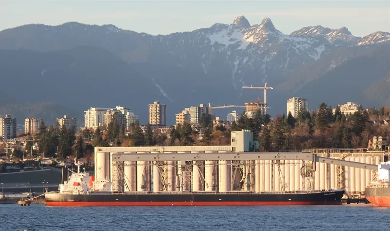CORAL EMERALD Bulk Carrier IMO 9316892 photo 6