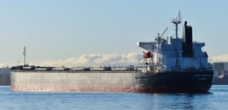 CORAL EMERALD Bulk Carrier IMO 9316892 photo 7