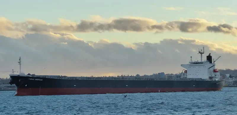 CORAL EMERALD Bulk Carrier IMO 9316892 photo 10