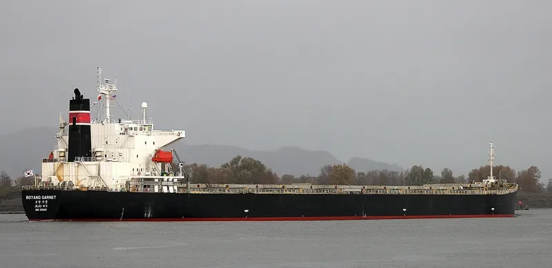 BOYANG GARNET Bulk Carrier IMO 9316907 photo 2