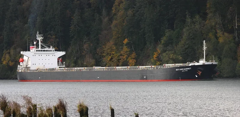 BOYANG GARNET Bulk Carrier IMO 9316907 photo 4