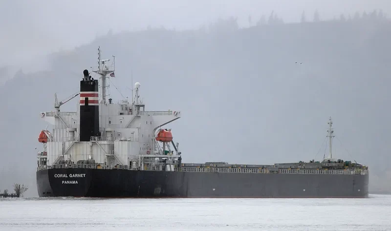 BOYANG GARNET Bulk Carrier IMO 9316907 photo 5
