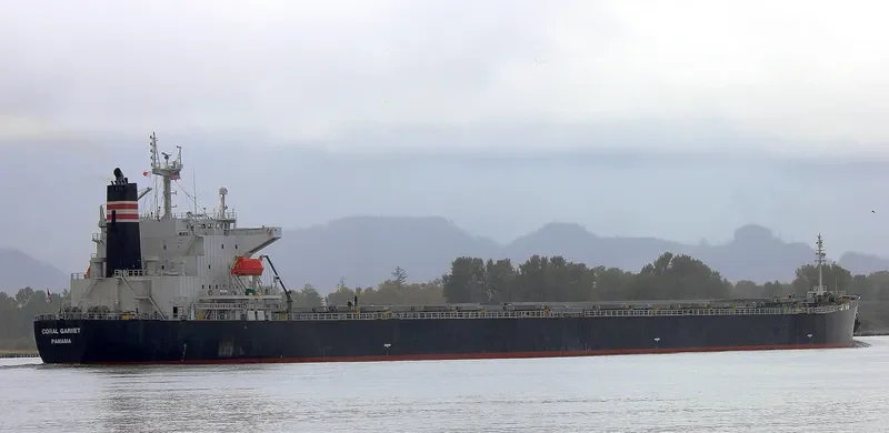 BOYANG GARNET Bulk Carrier IMO 9316907 photo 6
