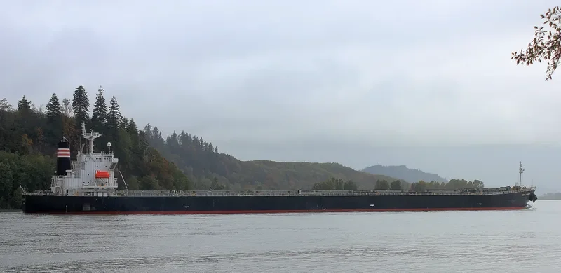 BOYANG GARNET Bulk Carrier IMO 9316907 photo 7