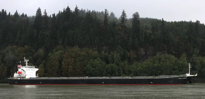 BOYANG GARNET Bulk Carrier IMO 9316907 photo 8