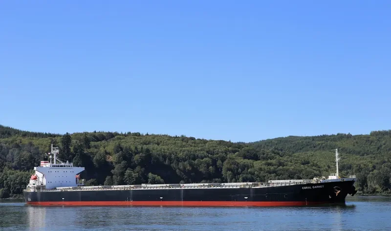 BOYANG GARNET Bulk Carrier IMO 9316907 photo 10