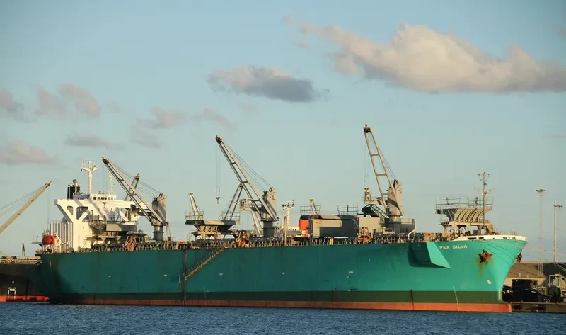 PAX SILVA Bulk Carrier IMO 9316919