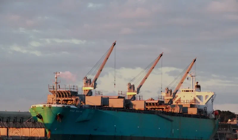 PAX SILVA Bulk Carrier IMO 9316919 photo 2