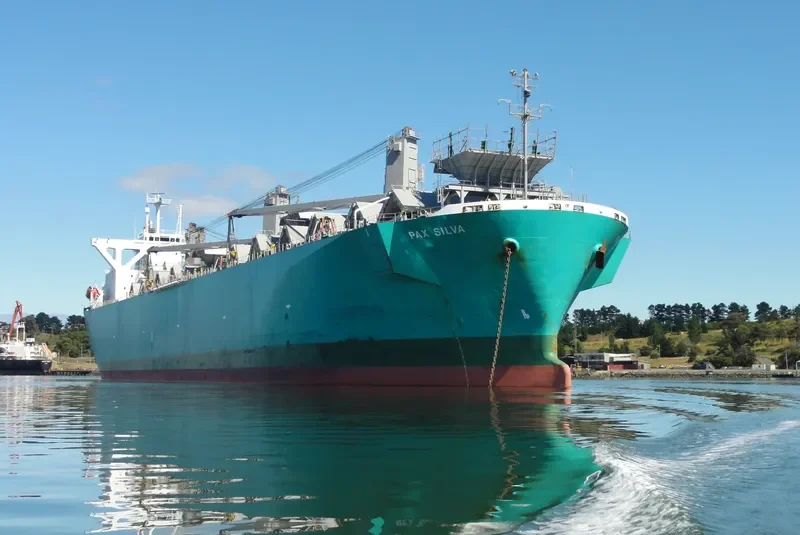 PAX SILVA Bulk Carrier IMO 9316919 photo 3