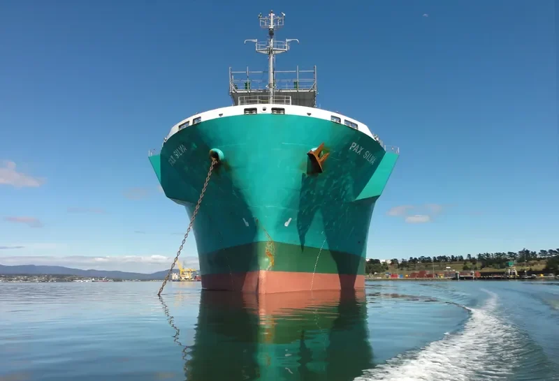 PAX SILVA Bulk Carrier IMO 9316919 photo 4