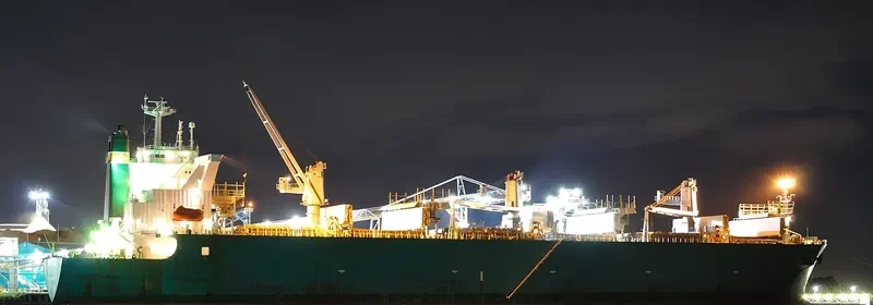 PAX SILVA Bulk Carrier IMO 9316919 photo 5