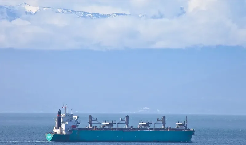 PAX SILVA Bulk Carrier IMO 9316919 photo 6