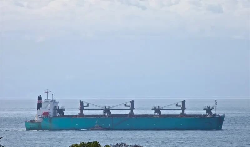PAX SILVA Bulk Carrier IMO 9316919 photo 7