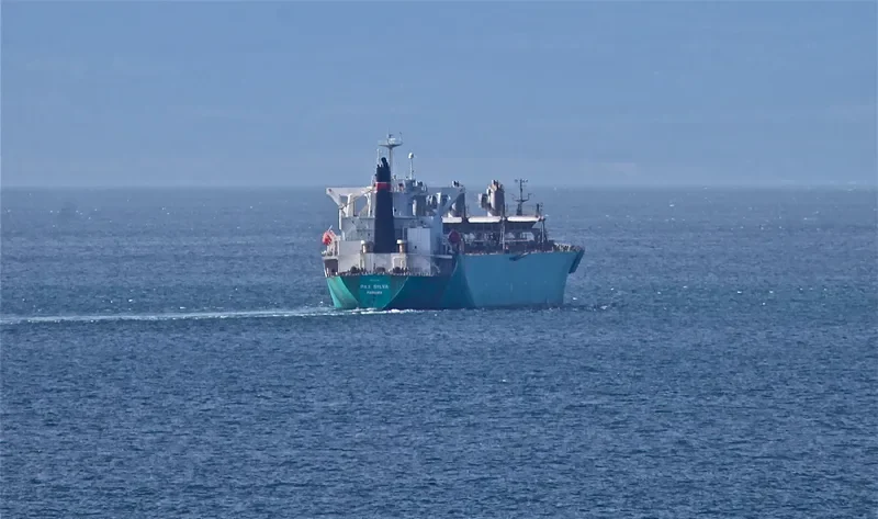 PAX SILVA Bulk Carrier IMO 9316919 photo 9