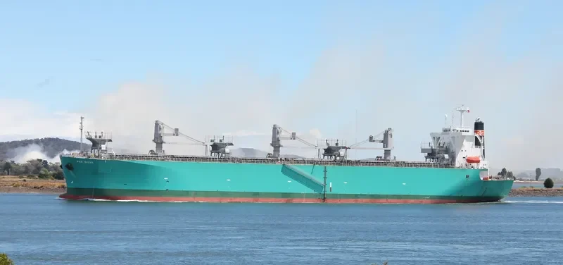 PAX SILVA Bulk Carrier IMO 9316919 photo 10