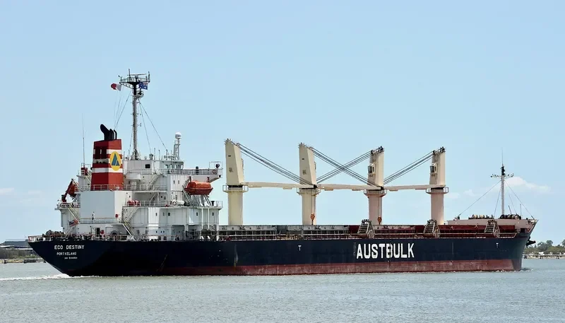 ECO DESTINY Bulk Carrier IMO 9316921 photo 2